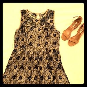Loft lace dress